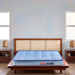Up Right Orthopedic Mattress| Modern design | Duroflex