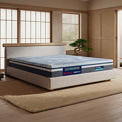 Airboost|mattress