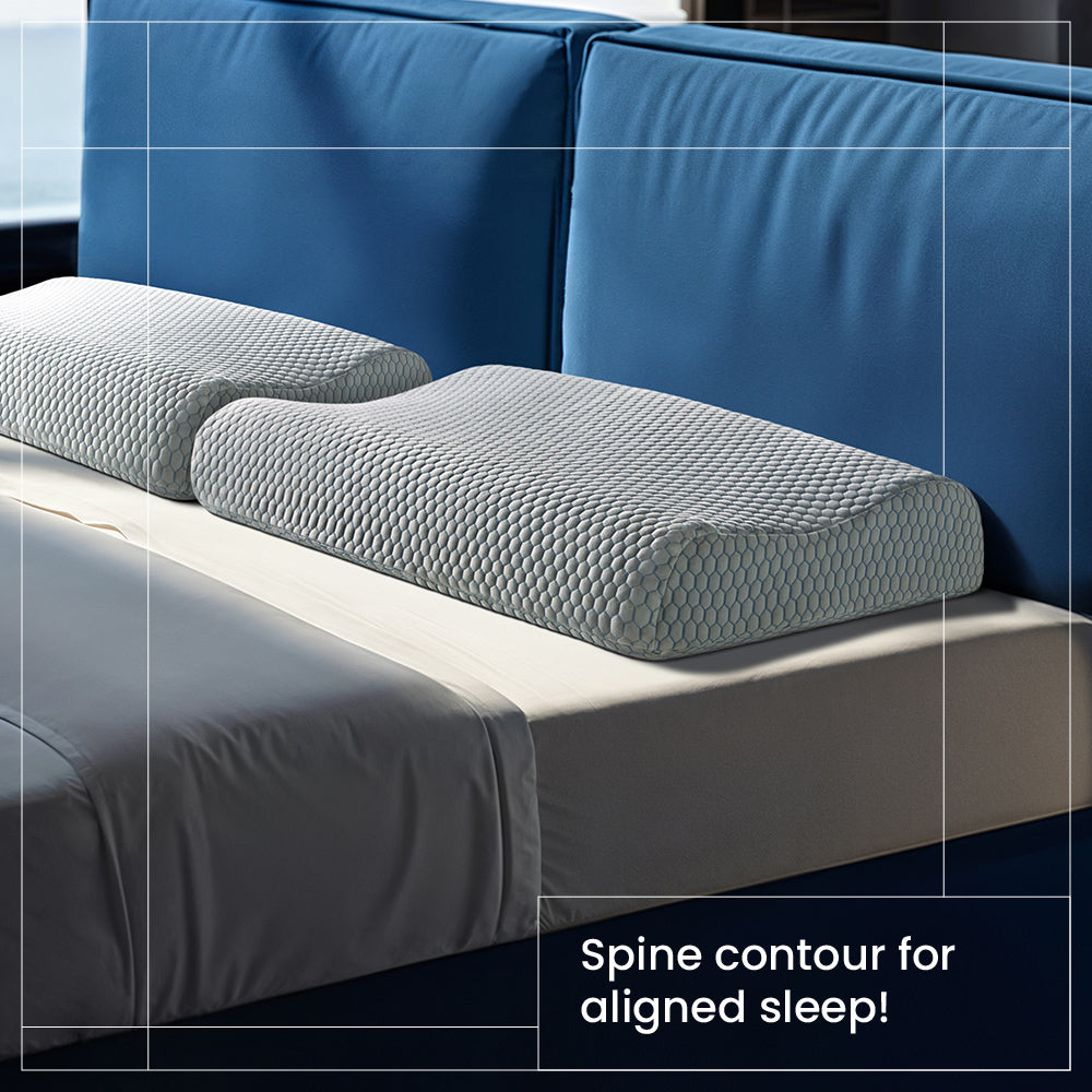 Spine Contour pillow (24 x 16.5 x 4 Inch) (60.9 x 41.9 x 10.1cm)