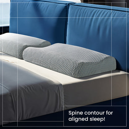 Spine Contour pillow (24 x 16.5 x 4 Inch) (60.9 x 41.9 x 10.1cm)