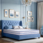 Back Magic Pro Orthopedic Mattress