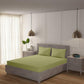 Beechnut 100% Cotton 200 TC Solid Bedsheet Set
