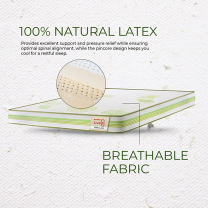 LiveIn 100% Latex Mattress