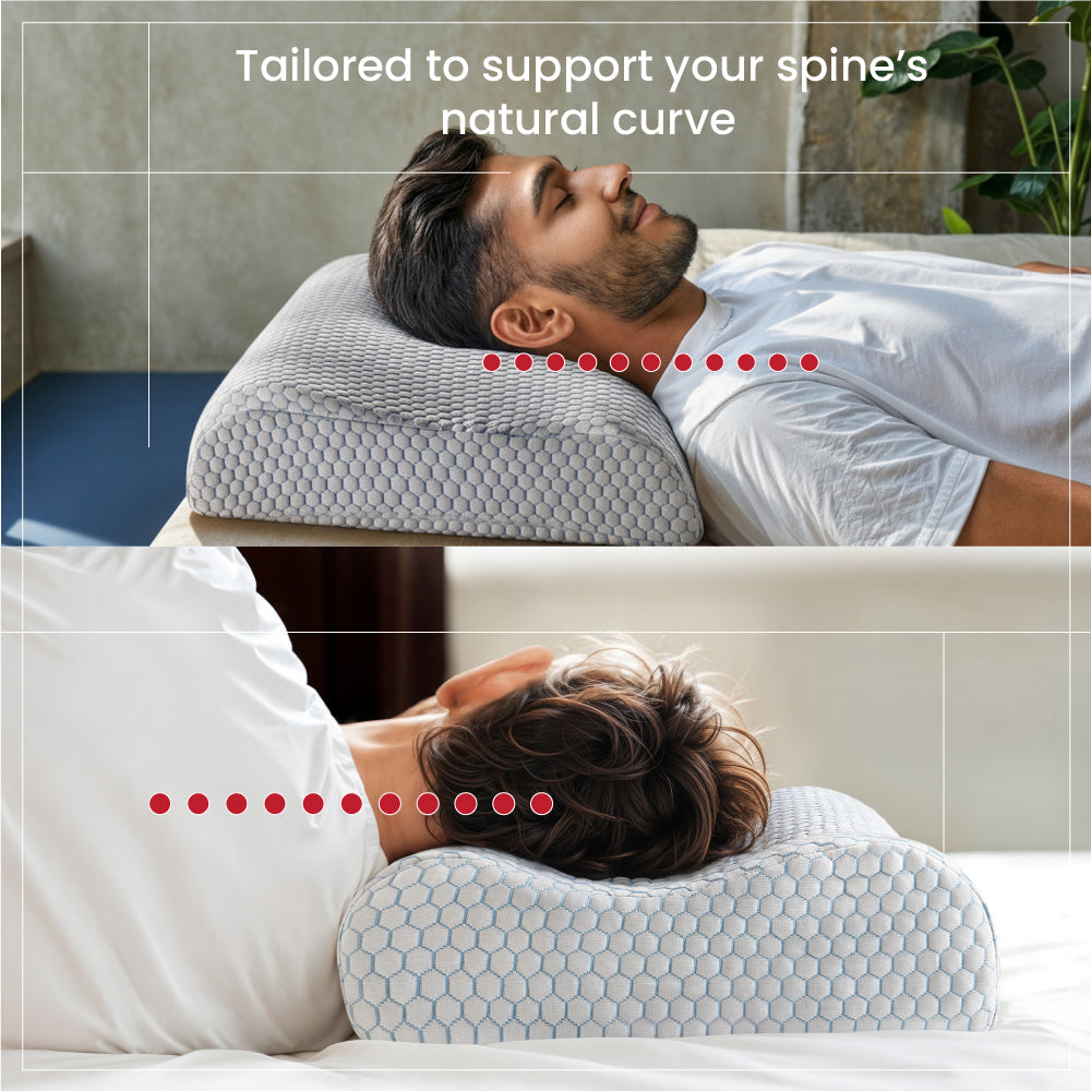 Spine Contour pillow (24 x 16.5 x 4 Inch) (60.9 x 41.9 x 10.1cm)