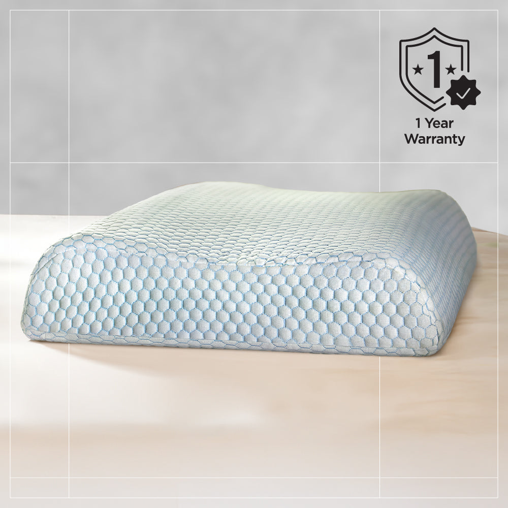 Spine Contour pillow (24 x 16.5 x 4 Inch) (60.9 x 41.9 x 10.1cm)