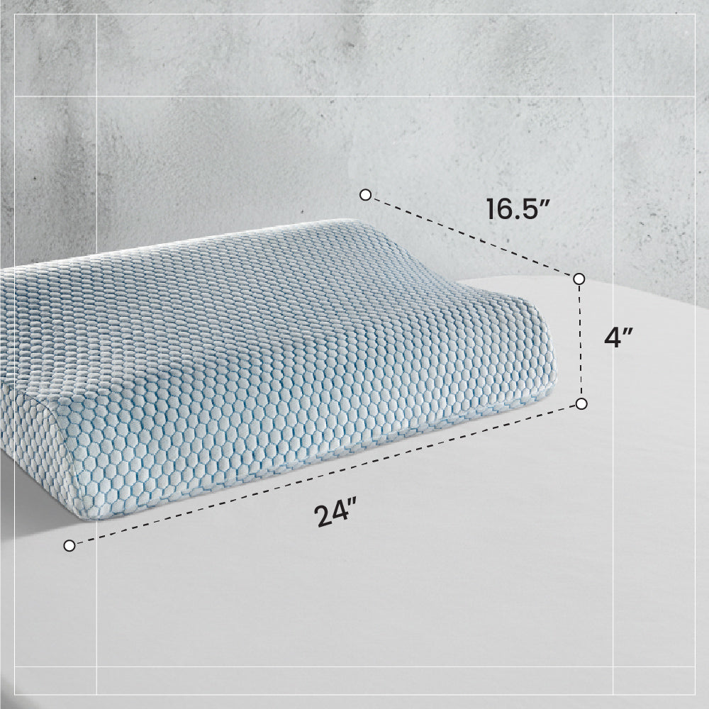 Spine Contour pillow (24 x 16.5 x 4 Inch) (60.9 x 41.9 x 10.1cm)