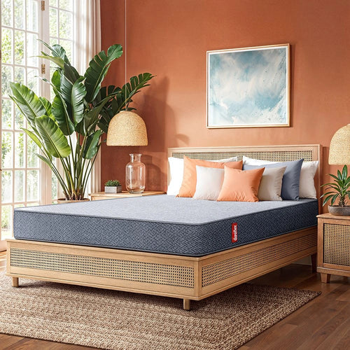 LiveIn 2 in 1 Dual Sided Roll Pack Mattress