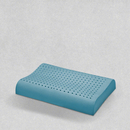 Spine Contour pillow (24 x 16.5 x 4 Inch) (60.9 x 41.9 x 10.1cm)