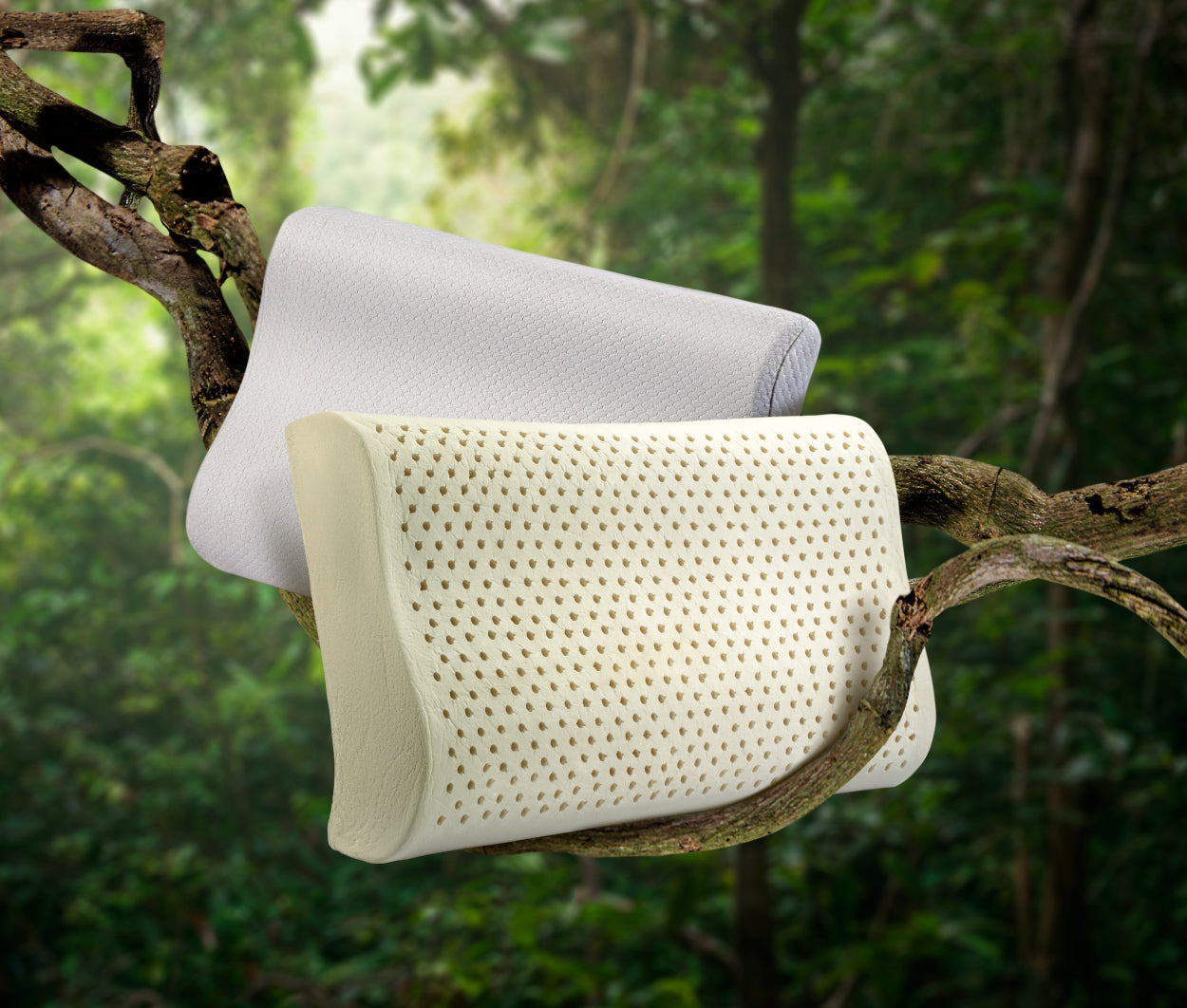 Pillow deals natural latex