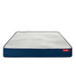 LiveIn Orthopedic Memory Foam Mattress